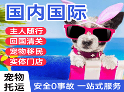 东阳横店机场快递国际宠物托运 【国